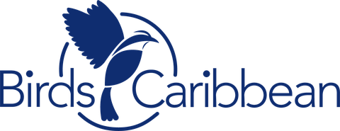 Birds Caribbean